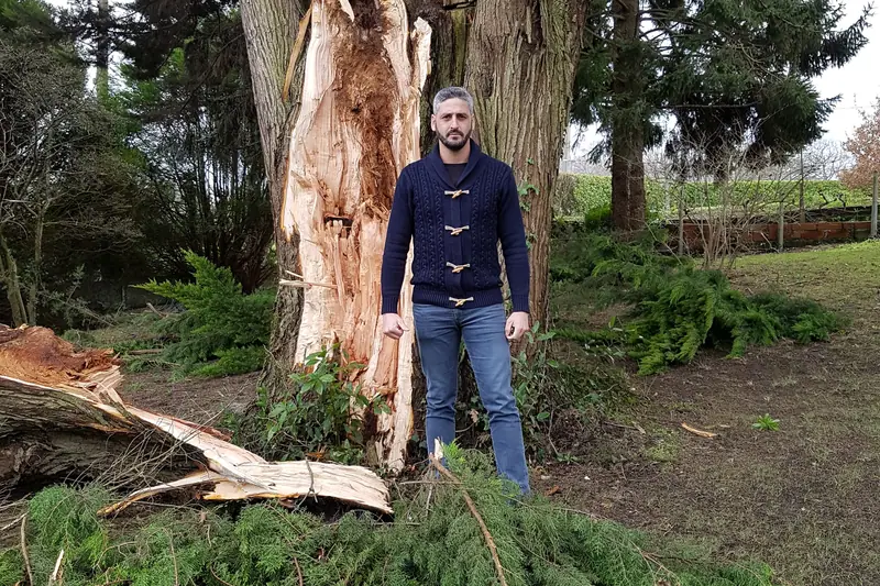 Démontage d’un arbre par tronçons retenus à la corde